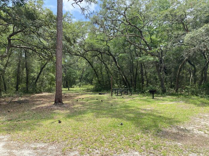 A photo of Site 6 of Loop Big Bass Campground at Big Bass Campground (FL) with Picnic Table, Fire Pit, Shade, Lantern Pole