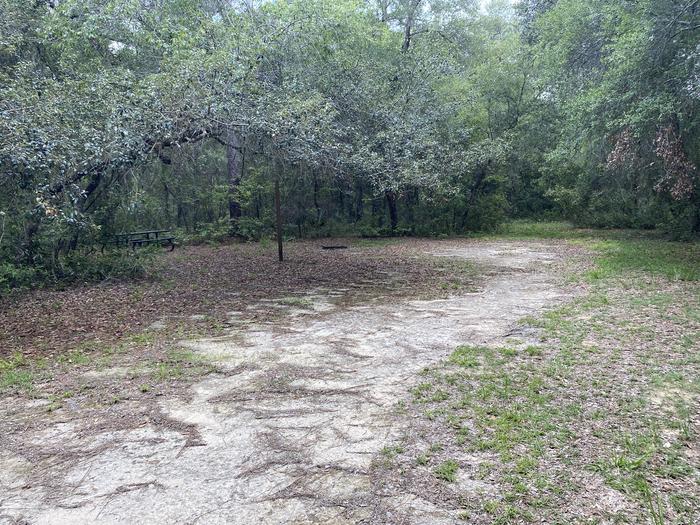 A photo of Site 19 of Loop Big Bass Campground at Big Bass Campground (FL) with Picnic Table, Fire Pit, Shade, Lantern Pole