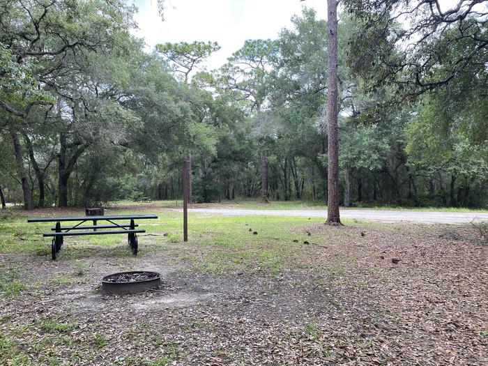 A photo of Site 6 of Loop Big Bass Campground at Big Bass Campground (FL) with Picnic Table, Fire Pit, Shade, Lantern Pole