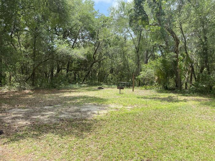 A photo of Site 3 of Loop Big Bass Campground at Big Bass Campground (FL) with Picnic Table, Fire Pit, Shade, Lantern Pole