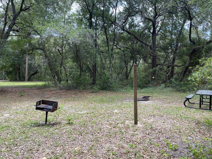 A photo of Site 3 of Loop Big Bass Campground at Big Bass Campground (FL) with Picnic Table, Fire Pit, Shade, Lantern Pole