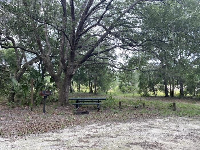 A photo of Site 8 of Loop Big Bass Campground at Big Bass Campground (FL) with Picnic Table, Fire Pit, Shade, Lantern Pole