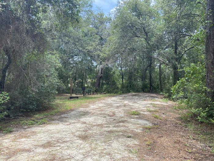 A photo of Site 13 of Loop Big Bass Campground at Big Bass Campground (FL) with Picnic Table, Fire Pit, Shade, Lantern Pole