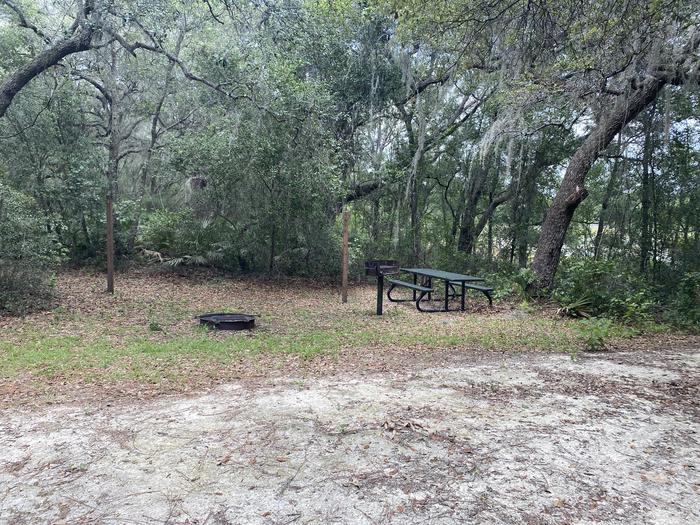 A photo of Site 13 of Loop Big Bass Campground at Big Bass Campground (FL) with Picnic Table, Fire Pit, Shade, Lantern Pole