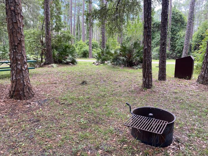 A photo of Site 6 of Loop Lake Dorr at Lake Dorr Campground with Picnic Table, Fire Pit, Shade, Food Storage