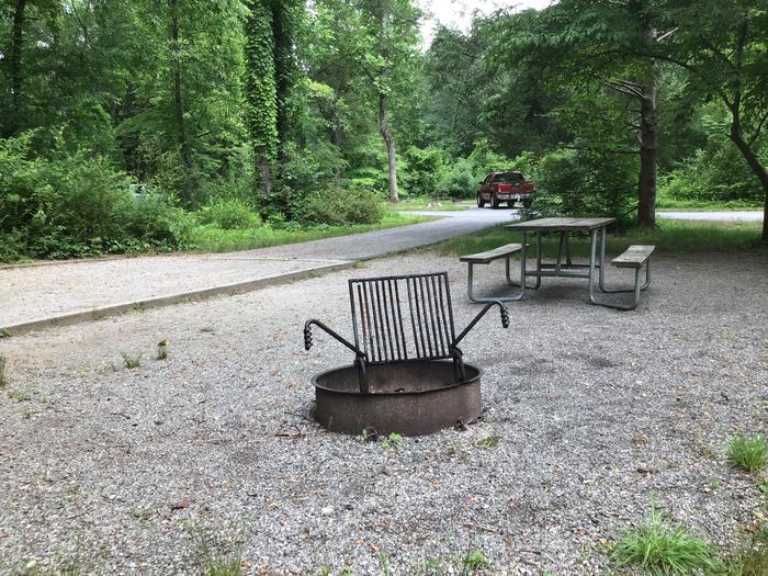 Davidson River Campground, Site 71, Dogwood Loop. Water spigot next to site.  Across from bathhouse. Wooded. 