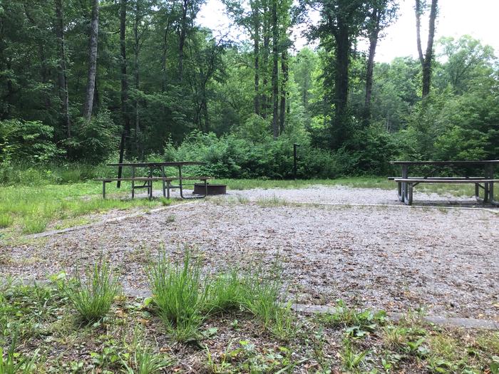 Davidson River Campground, Site 72, Dogwood Loop. Double - pull thru site. Water spigot across from site.  One site from bathhouse. 
