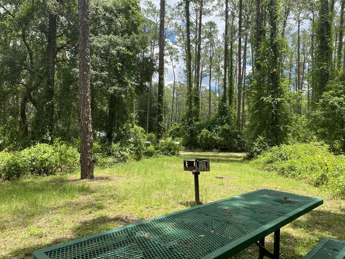A photo of Site 14 of Loop Lake Dorr at Lake Dorr Campground with Picnic Table, Fire Pit, Food Storage