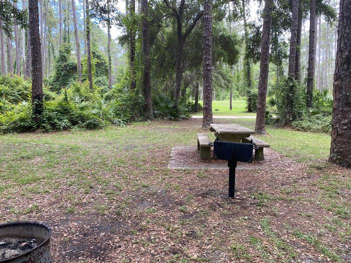 A photo of Site 7 of Loop Lake Dorr at Lake Dorr Campground with Picnic Table, Fire Pit, Shade, Food Storage