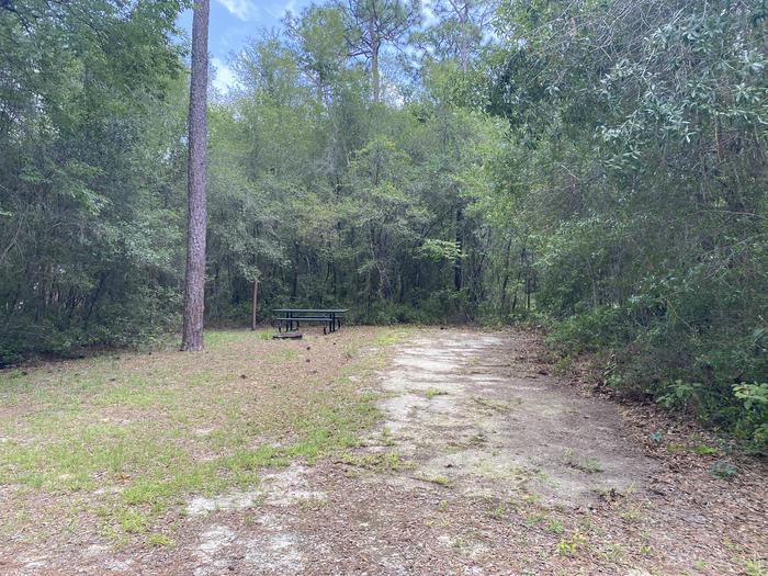 A photo of Site 18 of Loop Big Bass Campground at Big Bass Campground (FL) with Picnic Table, Fire Pit, Shade, Lantern Pole