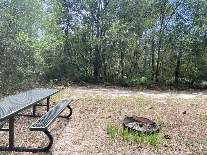A photo of Site 18 of Loop Big Bass Campground at Big Bass Campground (FL) with Picnic Table, Fire Pit, Shade, Lantern Pole