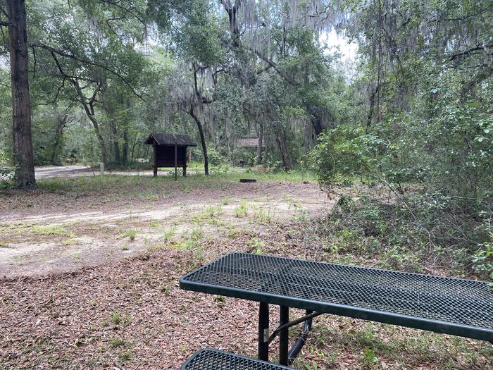A photo of Site 14 of Loop Big Bass Campground at Big Bass Campground (FL) with Picnic Table, Fire Pit, Shade, Lantern Pole