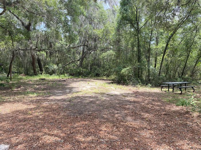 A photo of Site 14 of Loop Big Bass Campground at Big Bass Campground (FL) with Picnic Table, Fire Pit, Shade, Lantern Pole