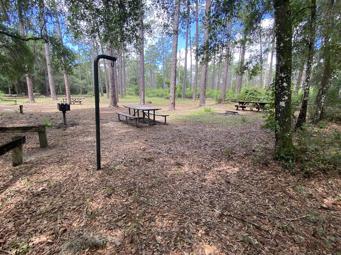 A photo of facility Lake Delancy West Campground with Picnic Table, Fire Pit, Shade, Lantern Pole