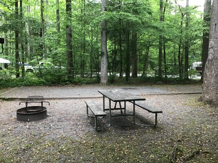 Davidson River Campground, Site 146, Riverbend Loop. Two sites from one of two bathhouses. Two sites from water spigot. Wooded. 