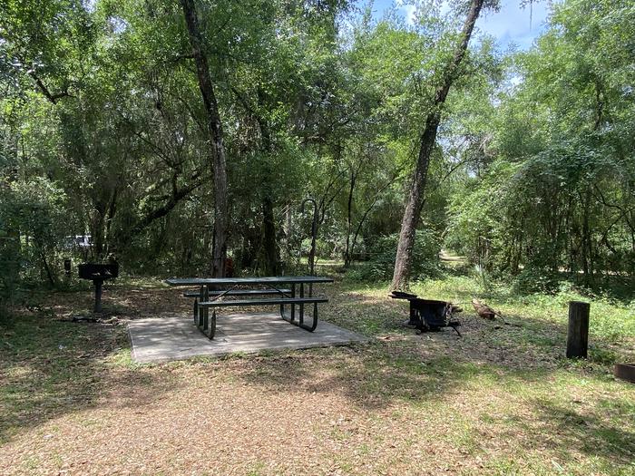 A photo of facility Lake Eaton Campground with Picnic Table, Fire Pit, Shade, Lantern Pole