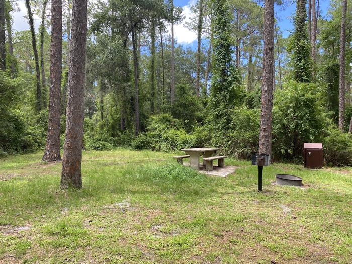 A photo of Site 34 of Loop Lake Dorr at Lake Dorr Campground with Picnic Table, Fire Pit, Shade, Food Storage