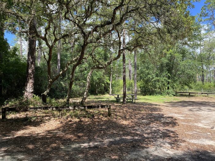 A photo of Site 7 of Loop Lake Delancy at Lake Delancy West Campground with Picnic Table, Fire Pit, Shade, Lantern Pole