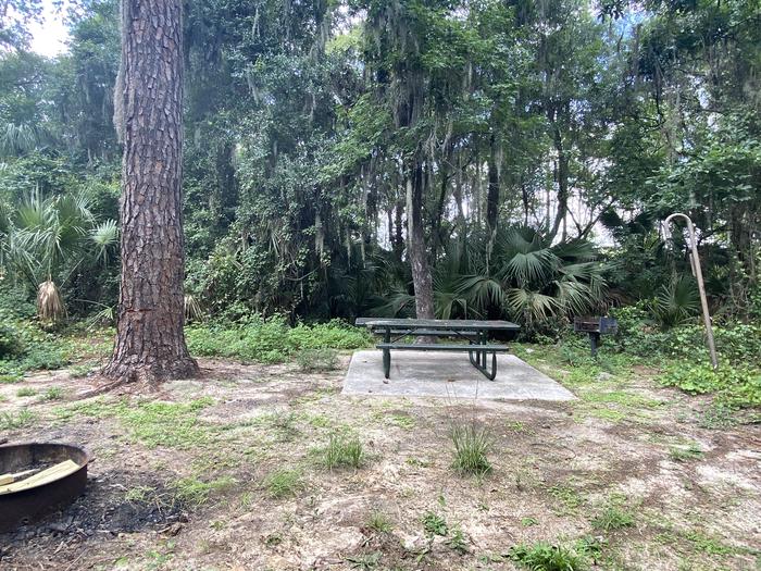A photo of Site 11 of Loop Lake Eaton at Lake Eaton Campground with Picnic Table, Fire Pit, Shade, Lantern Pole
