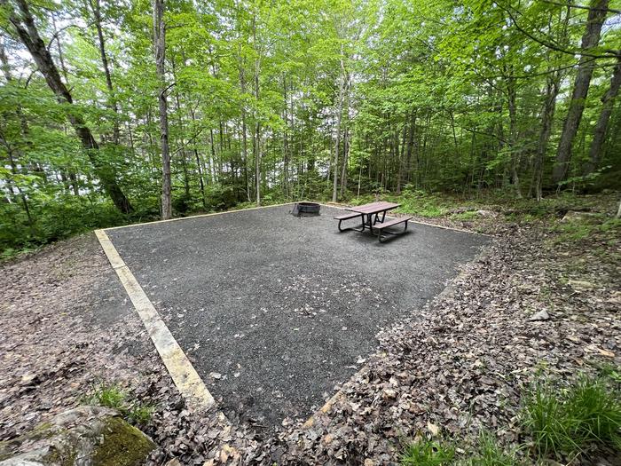 Walk In Campsite #5Walk In Campsite #5 includes accessible picnic table and fire ring