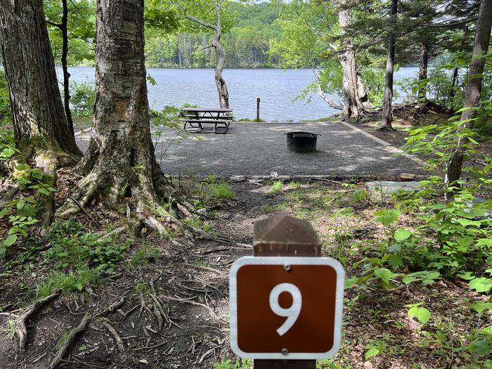 Walk In Campsite # 9Campsite #9 includes fire ring and accessible picnic table