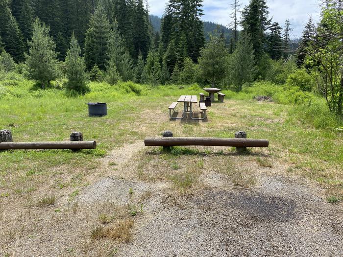 A photo of Site 021 of Loop SOUTH LOOP at BUMBLEBEE CAMPGROUND with Picnic Table, Fire Pit, Tent Pad