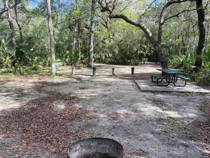 A photo of Site 22 of Loop Fore Lake at Fore Lake Campground with Picnic Table, Fire Pit, Shade, Food Storage, Lantern Pole