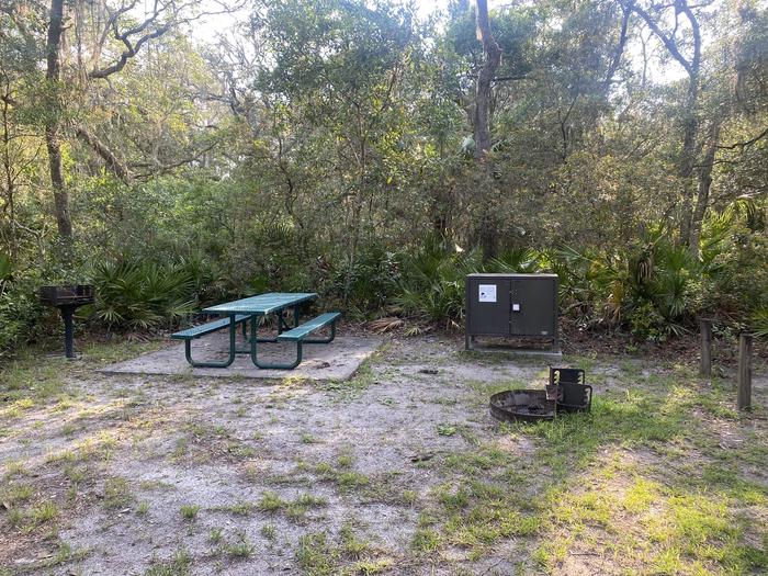 A photo of Site 29 of Loop Fore Lake at Fore Lake Campground with Picnic Table, Fire Pit, Shade, Food Storage, Lantern Pole