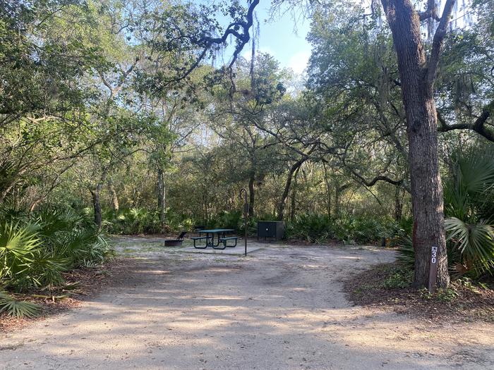 A photo of Site 30 of Loop Fore Lake at Fore Lake Campground with Picnic Table, Fire Pit, Shade, Food Storage, Lantern Pole