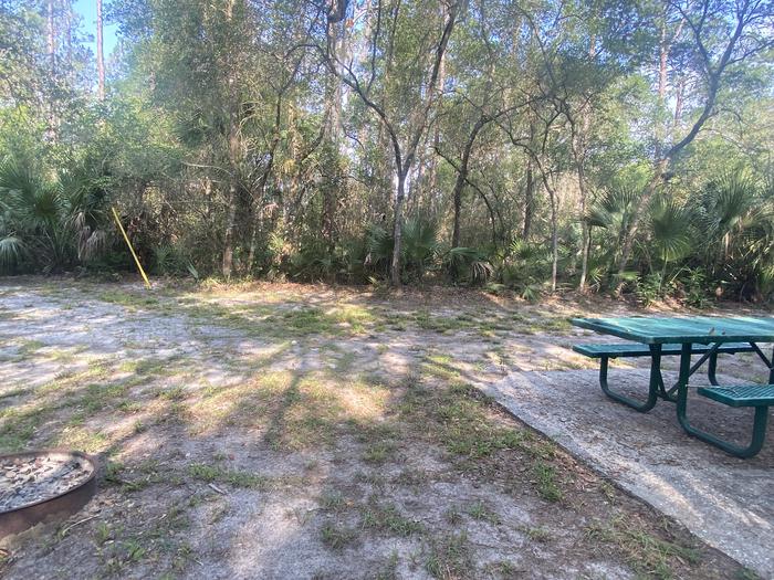 A photo of Site 18 of Loop Fore Lake at Fore Lake Campground with Picnic Table, Electricity Hookup, Fire Pit, Shade, Food Storage, Lantern Pole