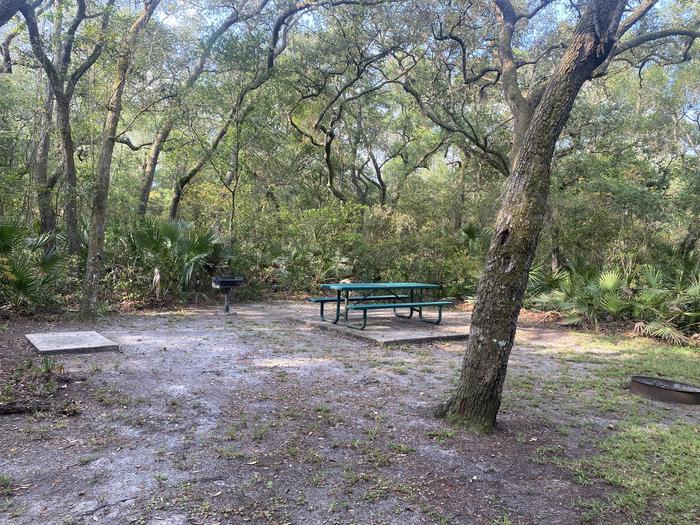 A photo of Site 20 of Loop Fore Lake at Fore Lake Campground with Picnic Table, Electricity Hookup, Fire Pit, Shade, Food Storage, Lantern Pole