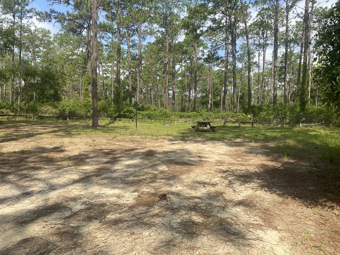 A photo of Site 11 of Loop Lake Delancy at Lake Delancy West Campground with Picnic Table, Fire Pit, Shade, Lantern Pole