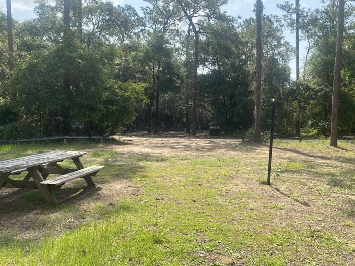 A photo of Site 11 of Loop Lake Delancy at Lake Delancy West Campground with Picnic Table, Fire Pit, Shade, Lantern Pole