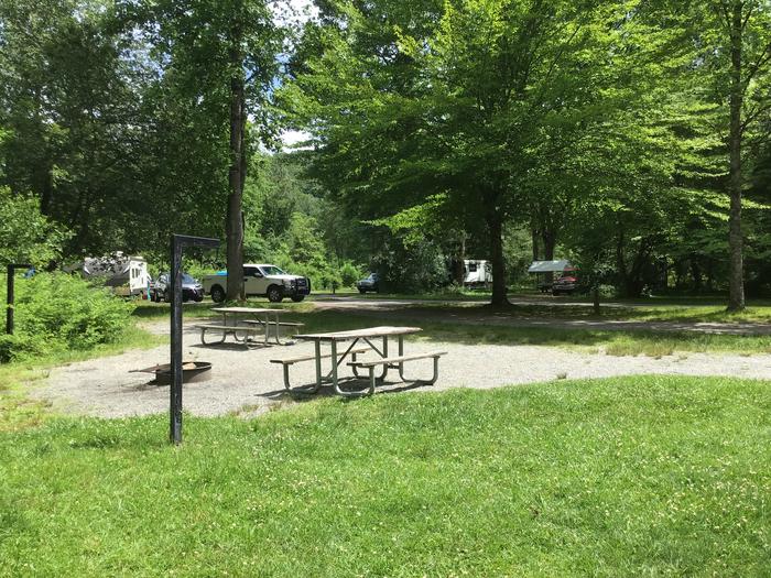 Davidson River Campground, Site 59, Dogwood Loop, Double - Pull Thru Site. Two picnic tables. Site located along Davidson River. Water spigot next to site. Two bathhouses on loop. 