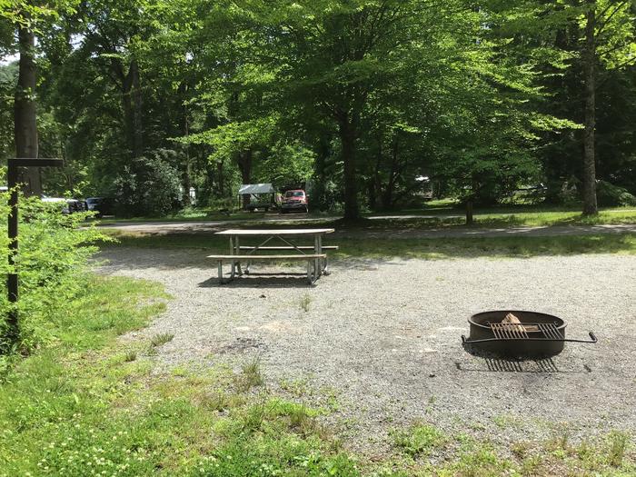 Davidson River Campground, Site 59, Dogwood Loop, Double - Pull Thru Site. Two picnic tables. Site located along Davidson River. Water spigot next to site. Two bathhouses on loop. 