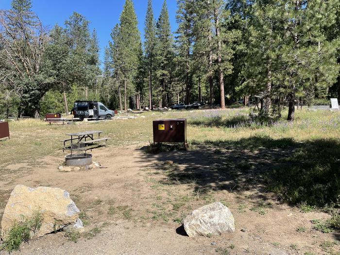 Food locker, picnic table, and fire ringSite 7