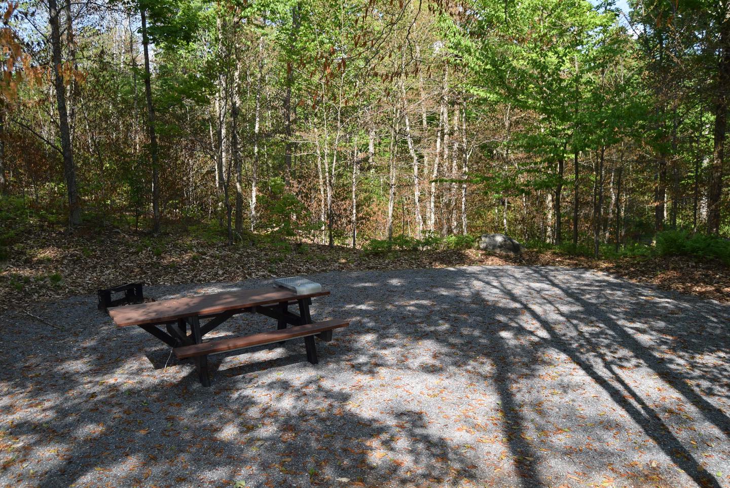 Site 6 picnic tablepicnic table