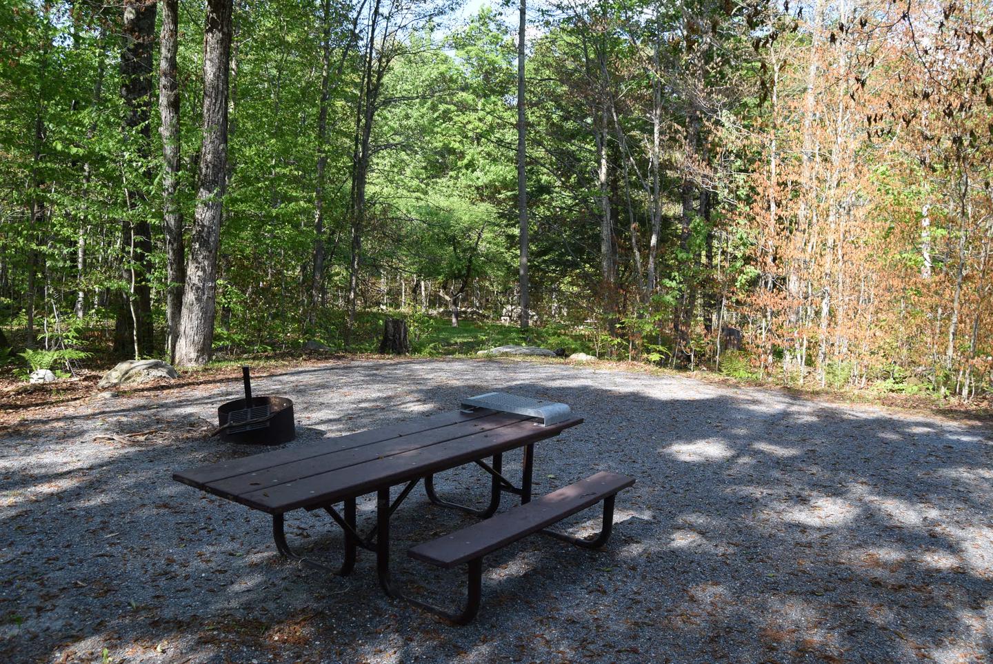 Site 9 picnic table and fire ring
