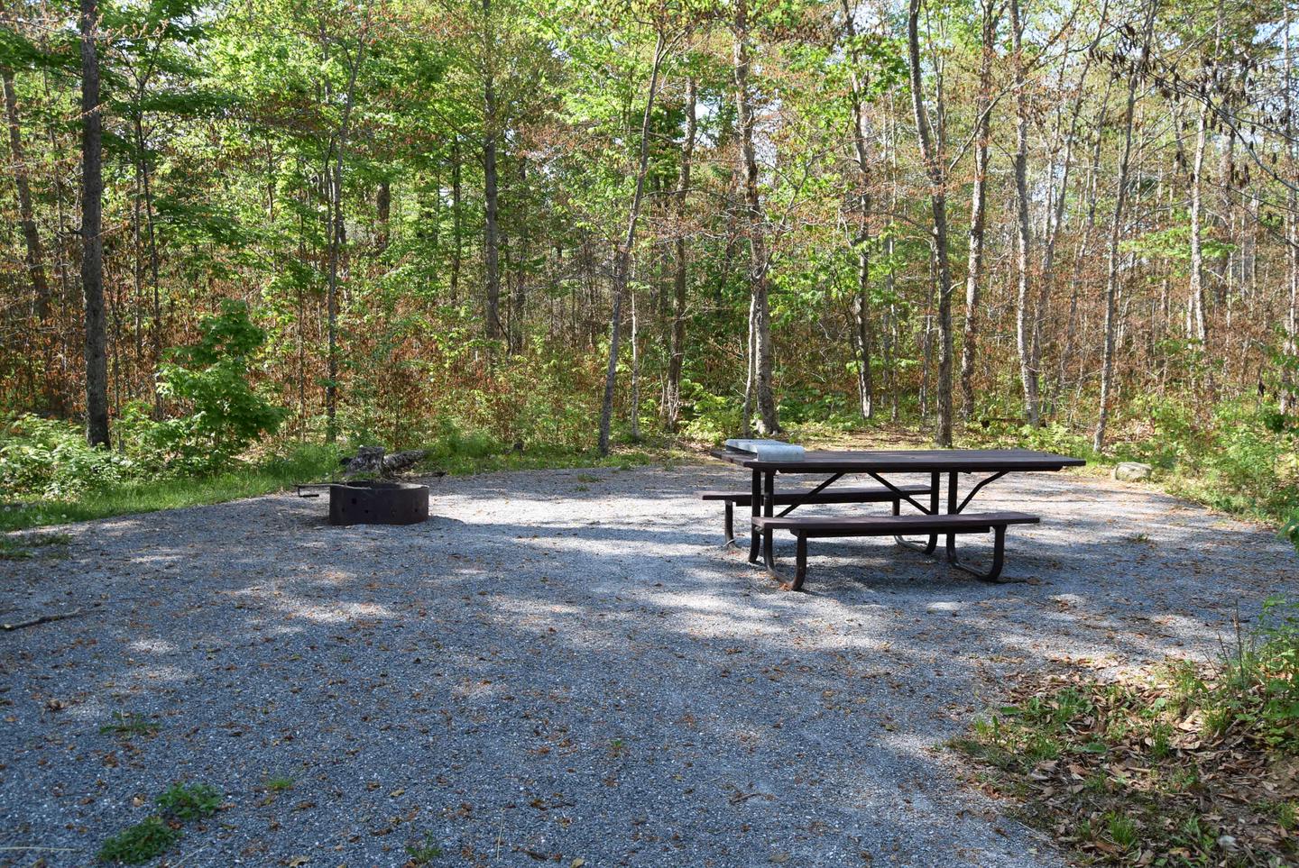 Site 12 picnic table and fire ring