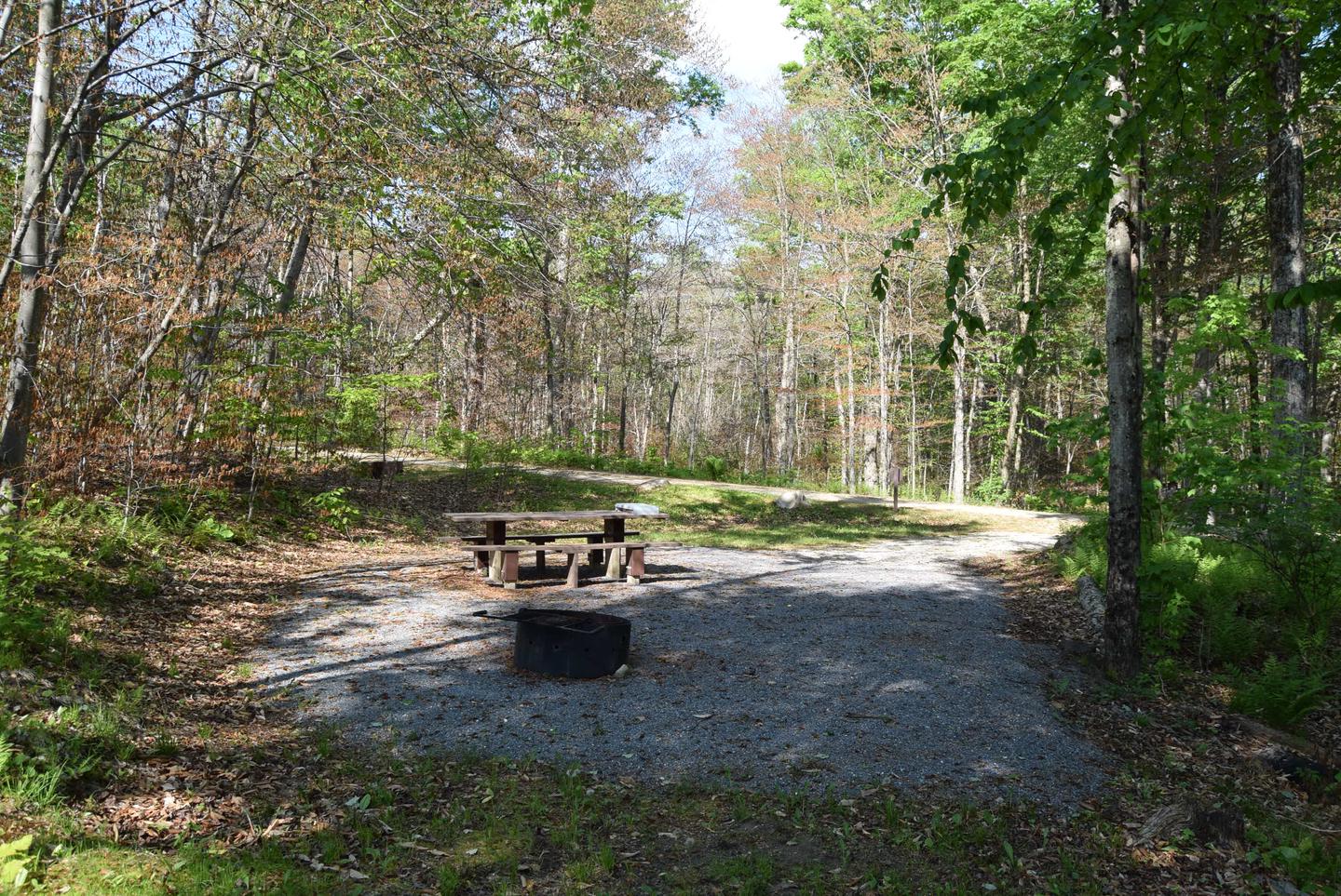 Site 13 picnic table and fire ring