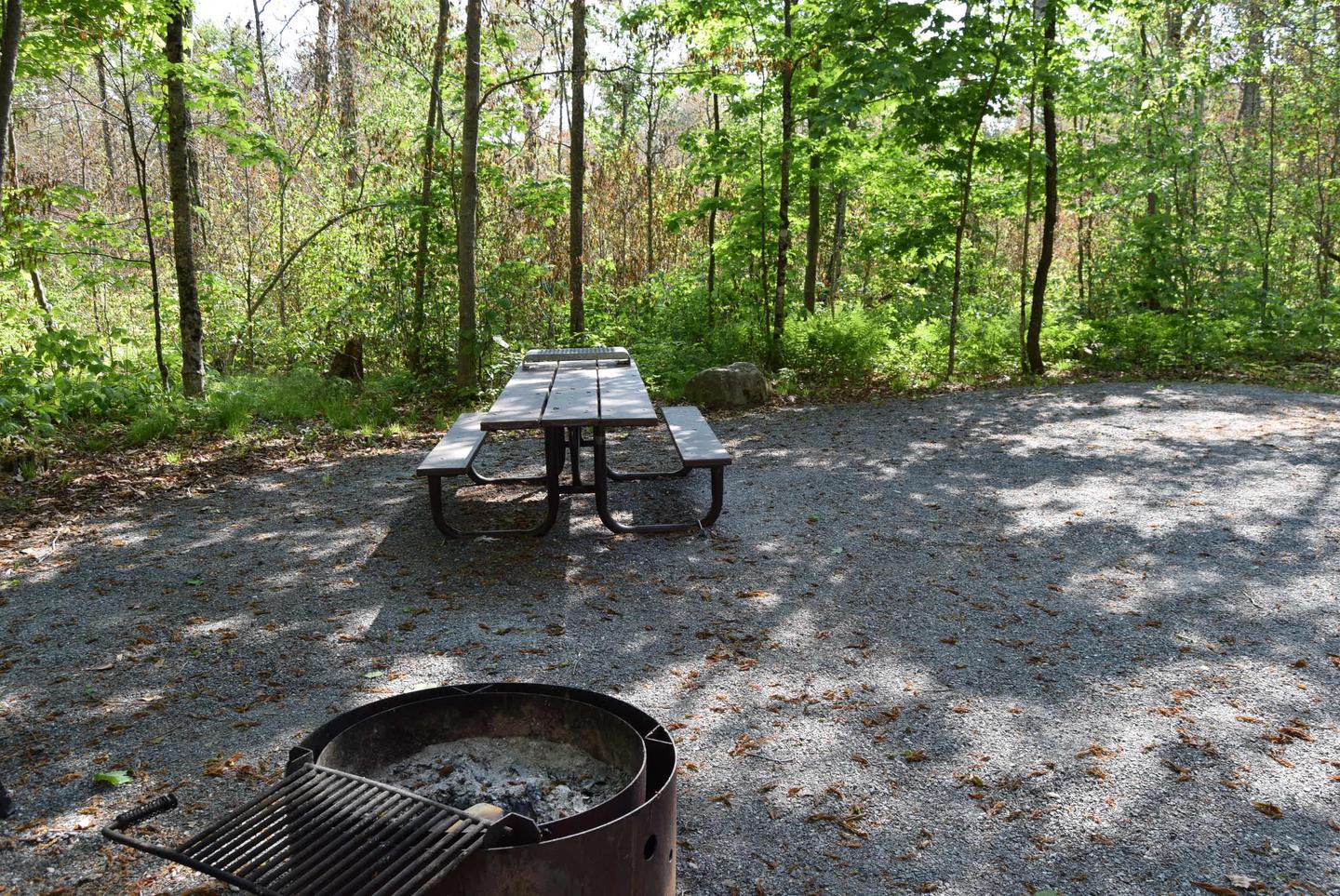 Site 14 picnic table and fire ring