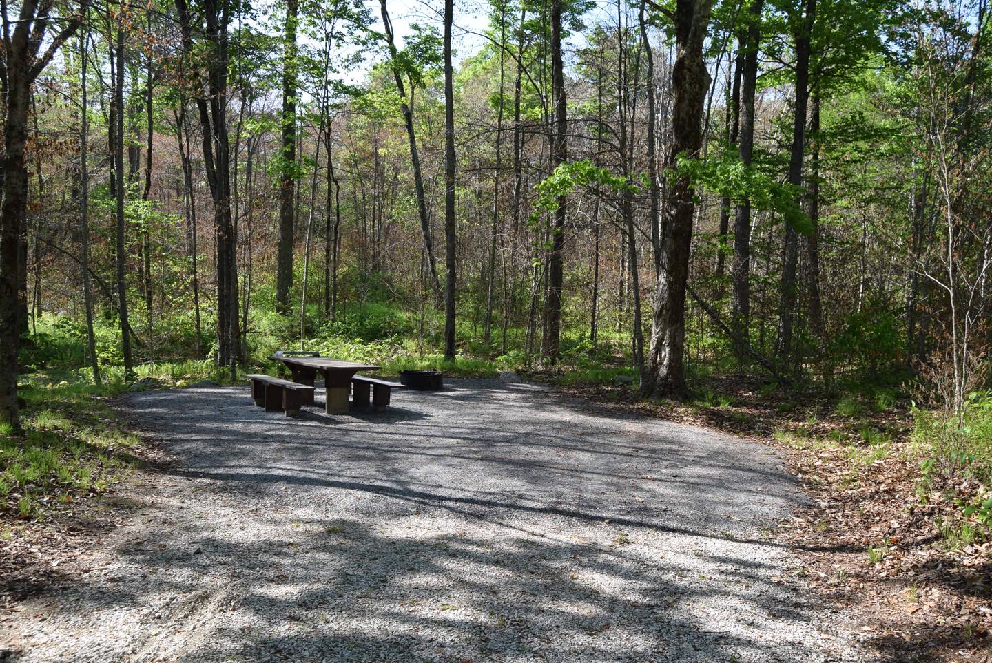 Site 15 picnic table and fire ring