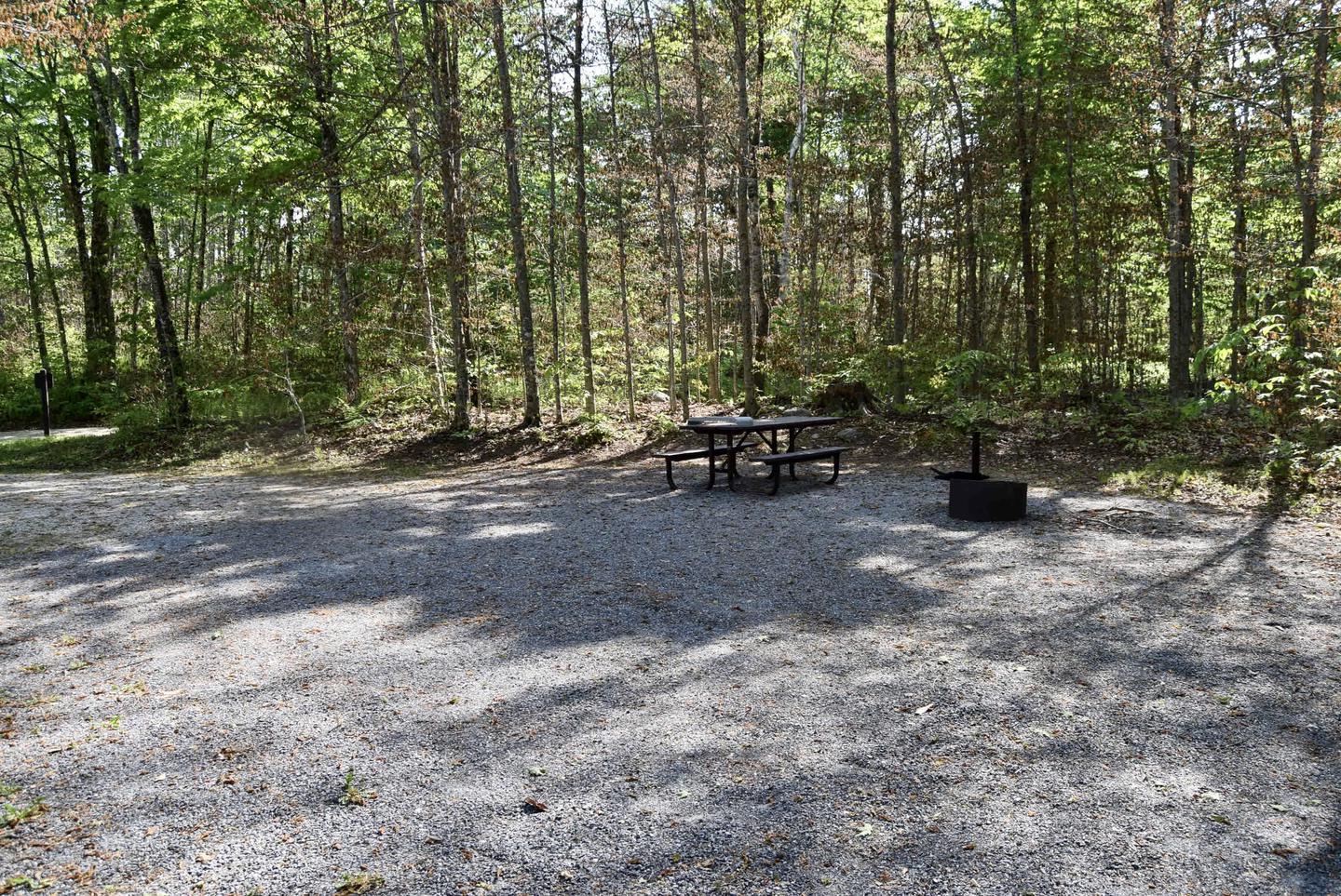 Site 19 picnic table and fire ring