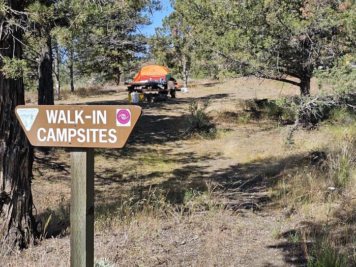 Trail to walk-in campsites at Muleshoe Campground