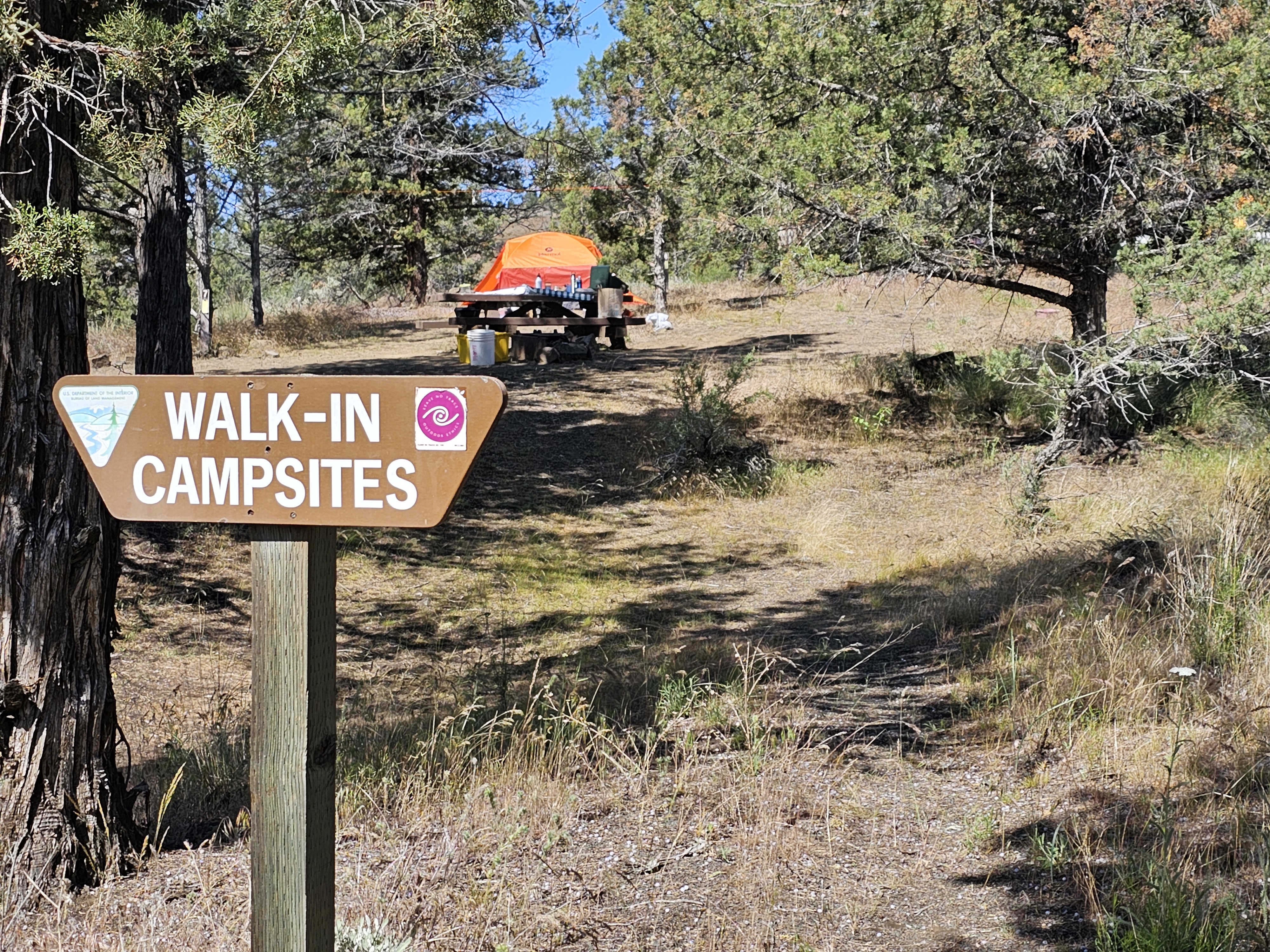 Trail to walk-in campsites at Muleshoe Campground
