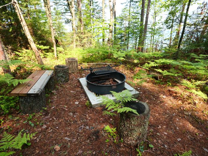 A firepit surrounded by foliage and bench seating.