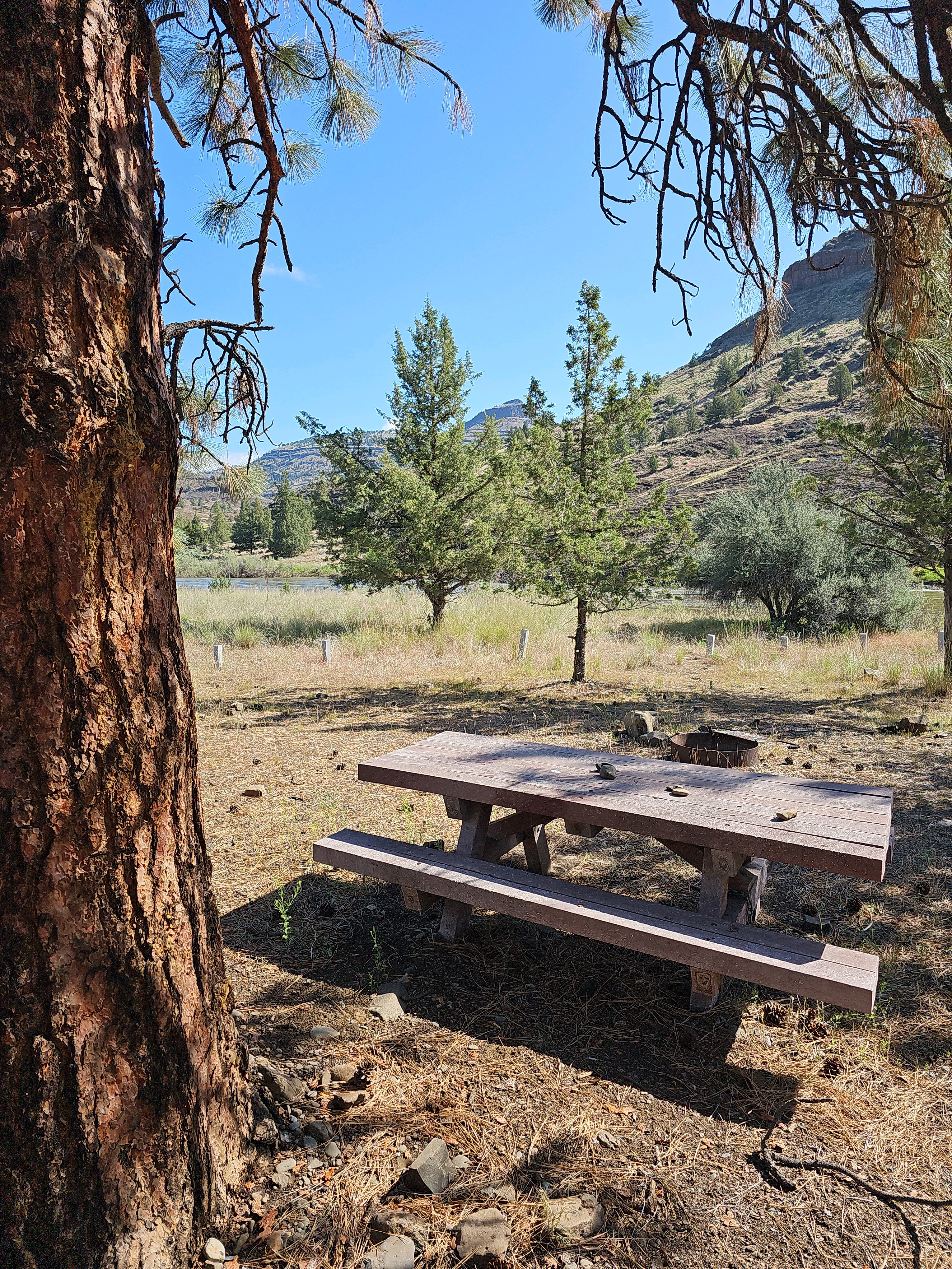 Picnic table at campsite at Donnelly Service Creek River Access Park 
