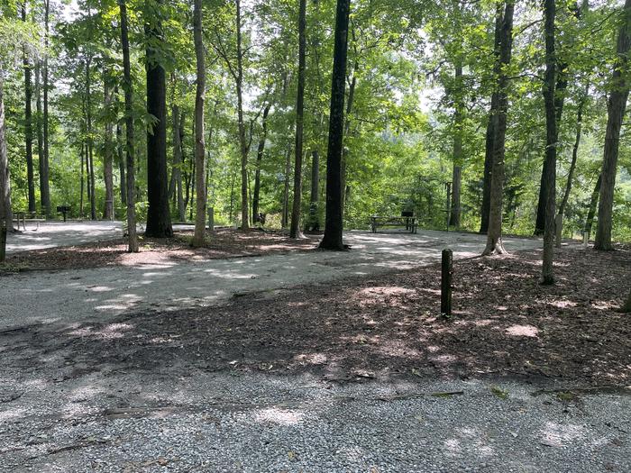 A photo of Site 093 of Loop ANTI at GUNTER HILL with Picnic Table, Electricity Hookup, Fire Pit, Shade, Lantern Pole, Water Hookup