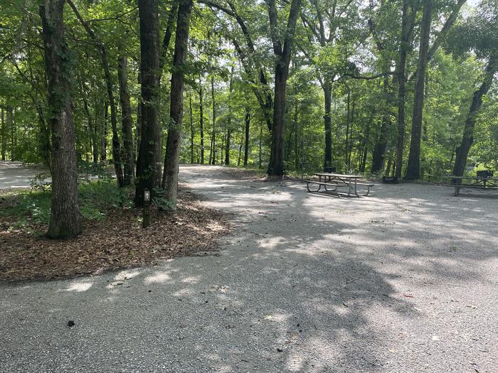A photo of Site 081 of Loop ANTI at GUNTER HILL with Picnic Table, Electricity Hookup, Fire Pit, Shade, Lantern Pole, Water Hookup