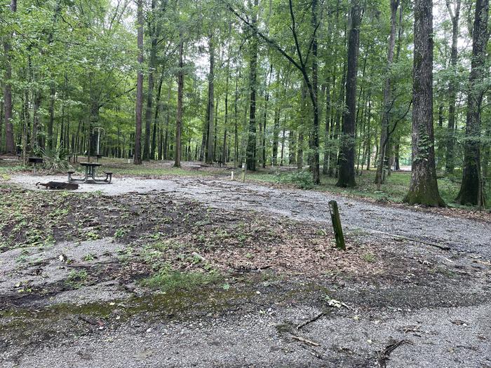 A photo of Site 108 of Loop ANTI at GUNTER HILL with Picnic Table, Electricity Hookup, Fire Pit, Shade, Lantern Pole, Water Hookup